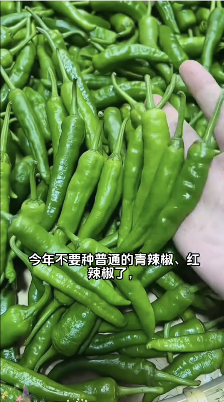 【特殊赛道】电商带货素材自动剪辑竖版视频丨扣子工作流智能体搭建coze工作流_智焰创AI