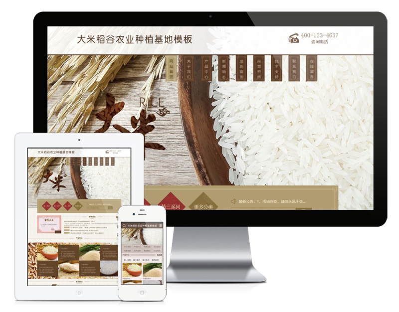 大米五谷类种植基地网站模板_智焰创AI